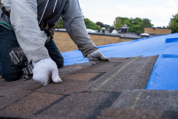 Roof Gutter Cleaning in Abbeville, GA