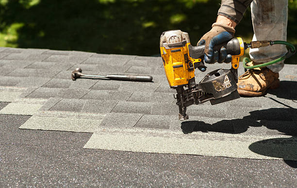 Best Roof Gutter Cleaning  in Abbeville, GA